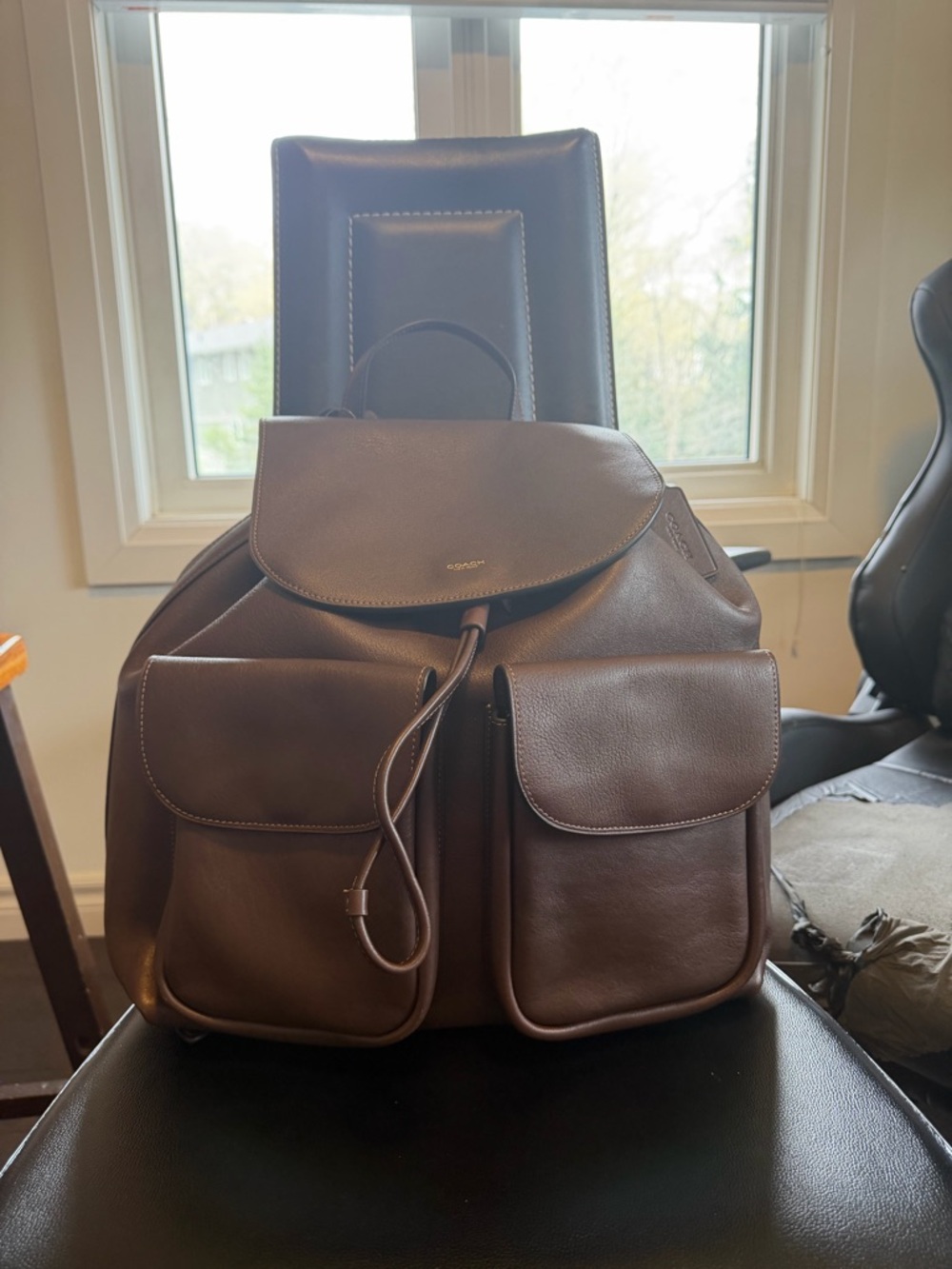 Coach Crosby Backpack Dark Brown